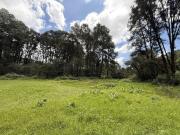 Terreno ideal para desarrollo o caba?as