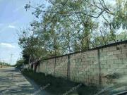 Terreno ideal para inversionistas en cholul sobre avenida