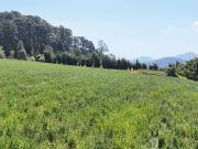 Terreno ideal para Rancho o para Desarrollador de...