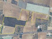 Terreno in affitto a Adelfia BA