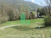 Terreno in affitto a Albino BG