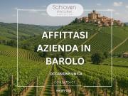 Terreno in affitto a Barolo CN