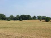 Terreno in affitto a Benevento BN