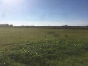 Terreno in affitto a Brindisi BR