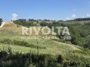 Terreno in affitto a Collevecchio RI