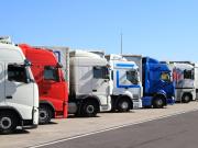 Terreno in affitto a Firenze FI