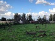 Terreno in affitto a Giugliano in Campania NA