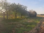 Terreno in affitto a Grosseto GR
