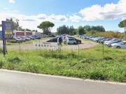 Terreno in affitto a Grosseto GR