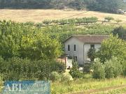 Terreno in affitto a Imola BO
