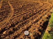 Terreno in affitto a Latina LT