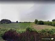 Terreno in affitto a Massarosa LU