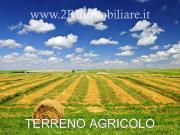 Terreno in affitto a Mazara del Vallo TP