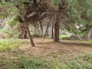 Terreno in affitto a Messina ME