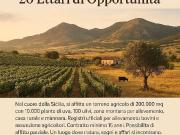 Terreno in affitto a Naro AG