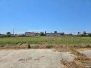 Terreno in affitto a Nettuno RM