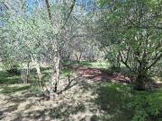 Terreno in affitto a Palermo PA