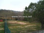 Terreno in affitto a Pesaro PU
