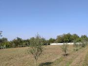 Terreno in affitto a Pomigliano d'Arco