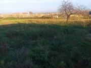 Terreno in affitto a Pozzuoli NA