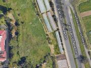 Terreno in affitto a Roma RM
