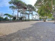 Terreno in affitto a Roma RM