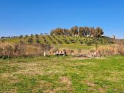 Terreno in affitto a Roma RM