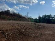 Terreno in affitto a Roma RM