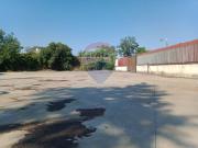 Terreno in affitto a San Giovanni la Punta CT