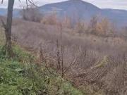 Terreno in affitto a Travo PC