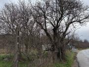 Terreno in affitto di 1400 m² in Viale del Basento