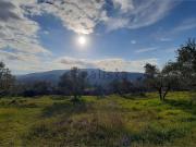 Terreno in affitto di 19000 m²