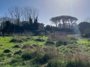 Terreno in affitto di 2000 m² in Via Madonna del Pantano