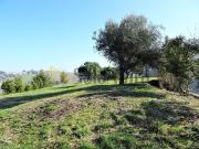 Terreno in affitto di 30000 m²