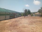 Terreno in affitto di 3500 m² in Via Eleonora Duse