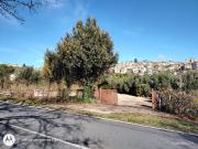 Terreno in affitto di 4000 m² in Via Variante Casilina
