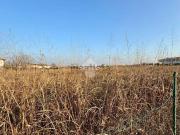 Terreno in affitto di 5364 m² in Via degli Scaligeri