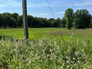 Terreno in affitto di 7354 m² in Via Federico Bergonzi