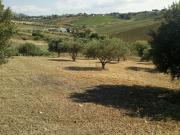 Terreno in vendita in pigne, Alcamo