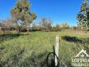 Terreno in vendita a Acerra NA