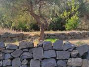 Terreno in vendita a Aci Castello, Acitrezza