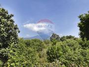 Terreno in vendita a Acireale CT Terreno in vendita a Acireale CT