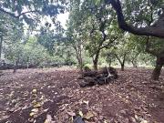 Terreno in vendita a Acireale CT