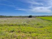 Terreno in vendita a Acquaviva delle Fonti BA