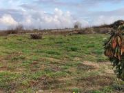 Terreno in vendita a Acquaviva delle Fonti BA