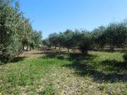 Terreno in vendita a Agrigento AG