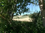 Terreno in vendita a Agugliano AN