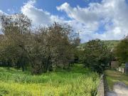 Terreno in vendita a Aiello del Sabato AV