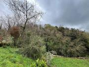 Terreno in vendita a Alatri FR