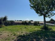 Terreno in vendita a Albano Laziale RM
